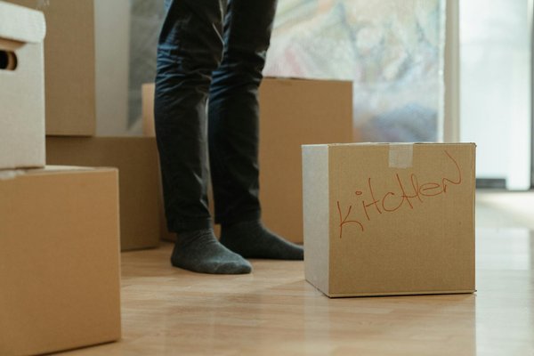 Ressources Indispensables pour Dénicher des Plans de Maisons Modernes Gratuits