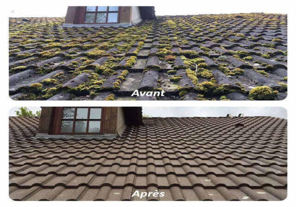 Nettoyage de votre toiture près de Wattignies
